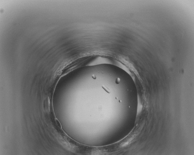 X0000073710109200608101849