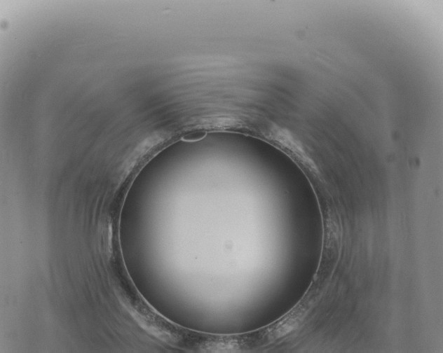 X0000073710110200608101849