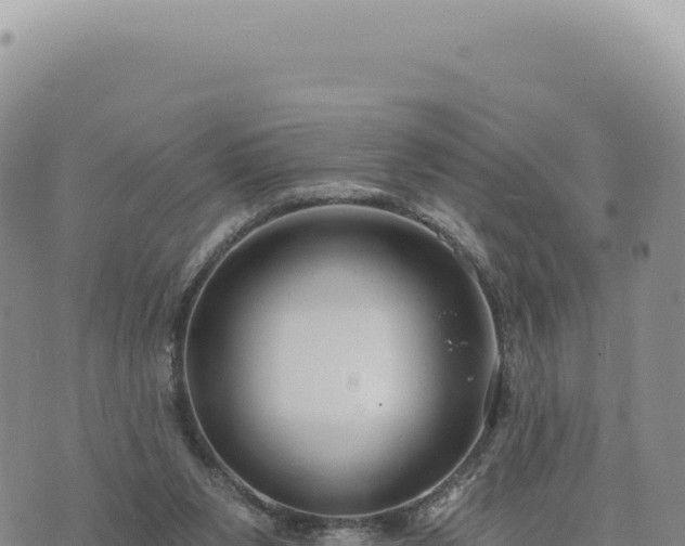 X0000073710111200608101849