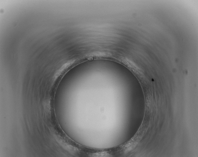 X0000073710112200608101849