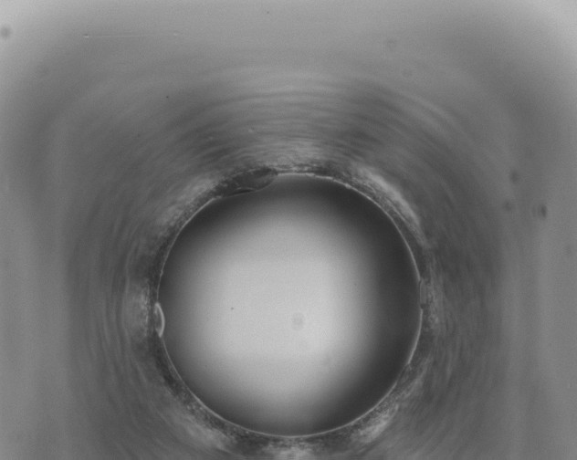 X0000073710113200608101849