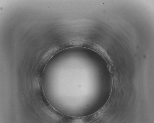 X0000073710114200608101849