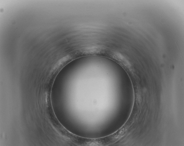 X0000073710115200608101849