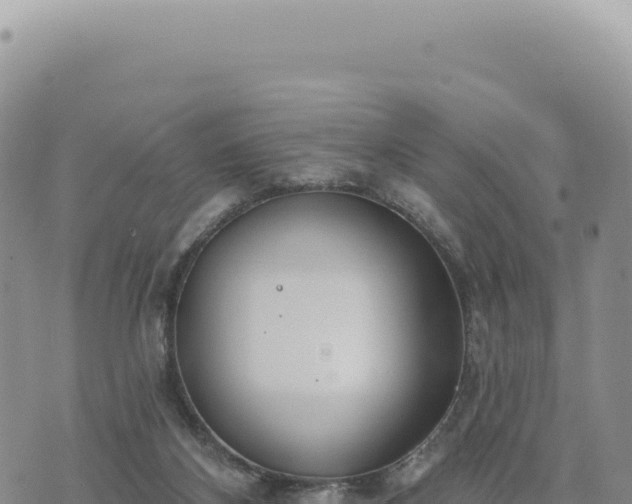 X0000073710116200608101849