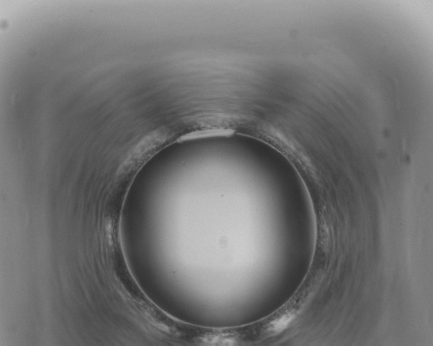 X0000073710117200608101849