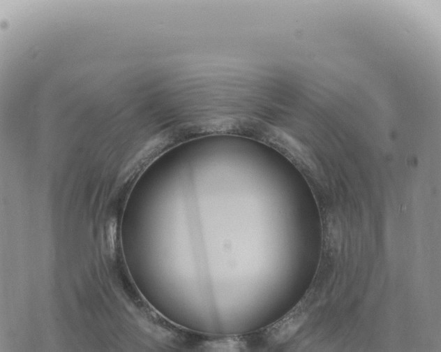 X0000073710118200608101848