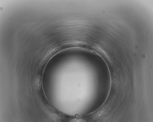 X0000073710119200608101848