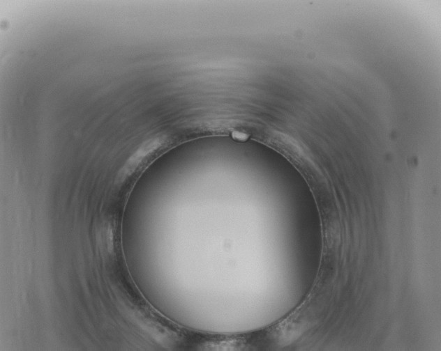 X0000073710120200608101848