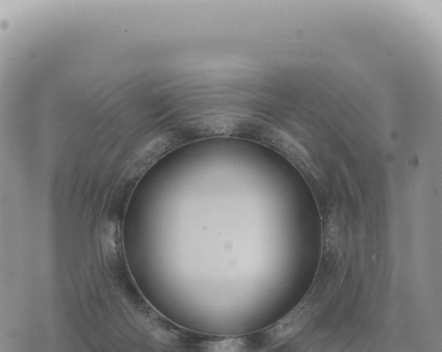 X0000073710122200608101848