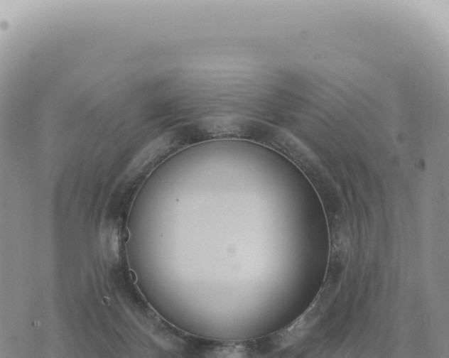 X0000073710124200608101848