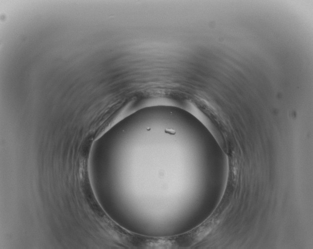 X0000073710125200608101848