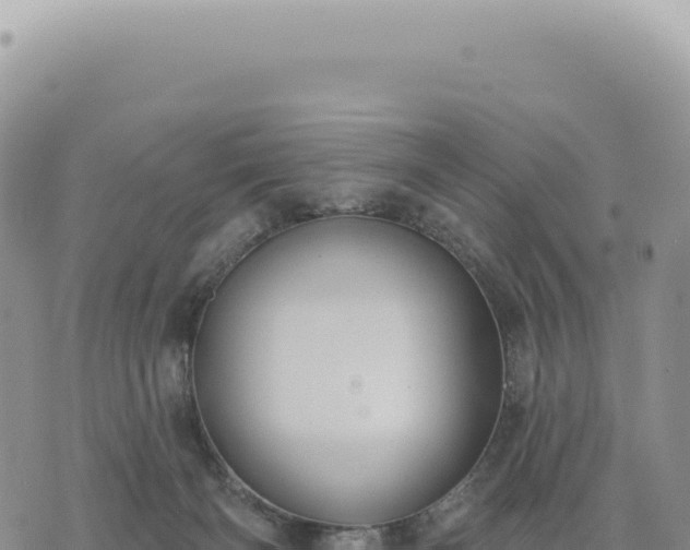 X0000073710126200608101848