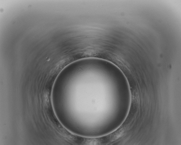 X0000073710127200608101848