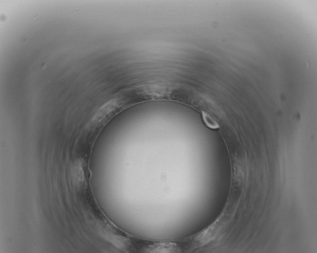 X0000073710128200608101848