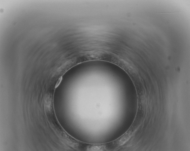 X0000073710129200608101848