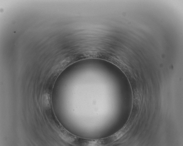 X0000073710130200608101848