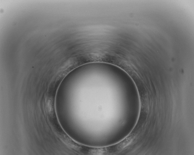 X0000073710131200608101848