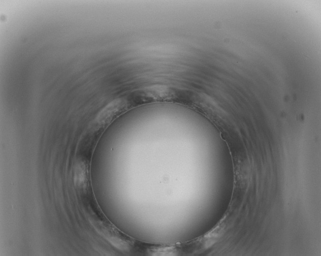 X0000073710132200608101848