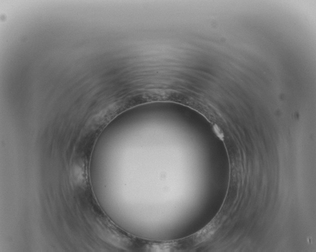 X0000073710134200608101848