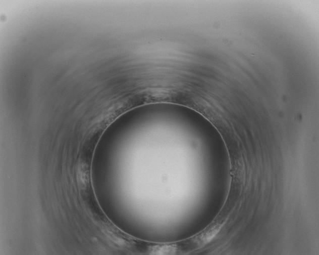 X0000073710135200608101848