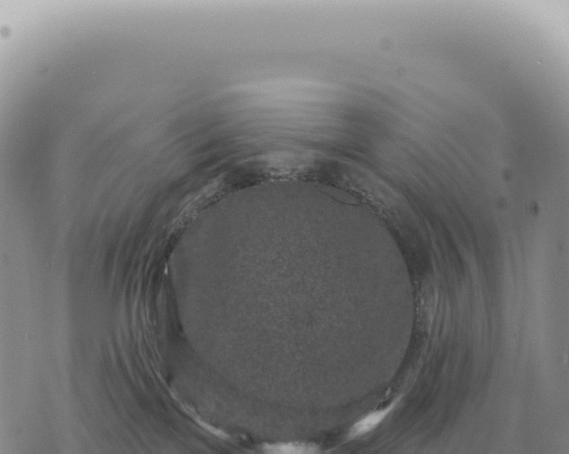 X0000073710137200608101848