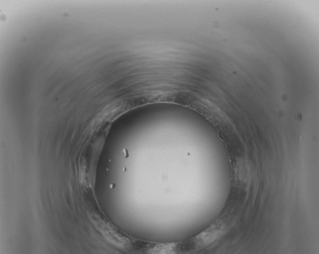 X0000073710138200608101848