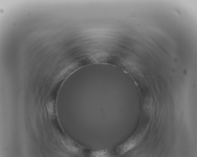 X0000073710139200608101848