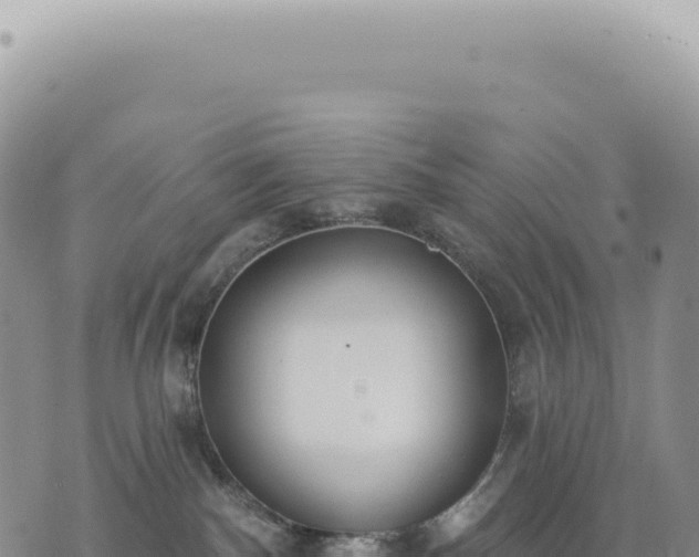 X0000073710140200608101848