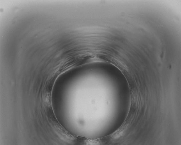 X0000073710141200608101848