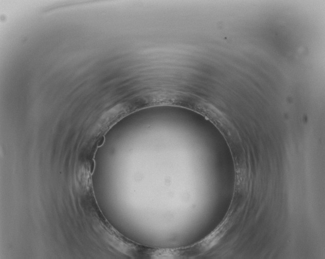 X0000073710142200608101848