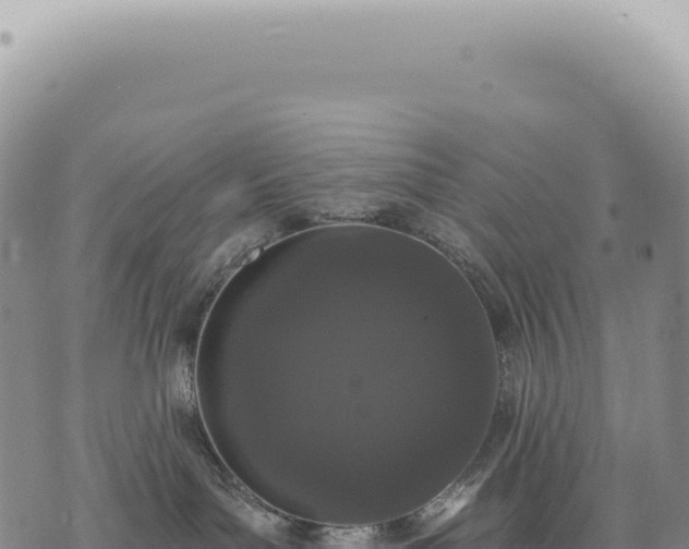 X0000073710143200608101848