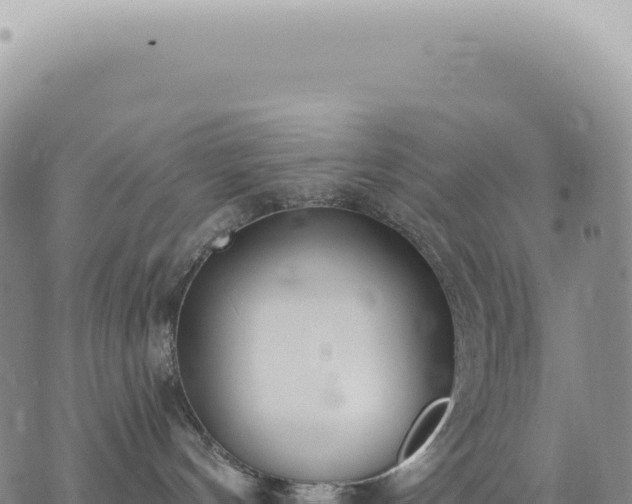 X0000073710144200608101848