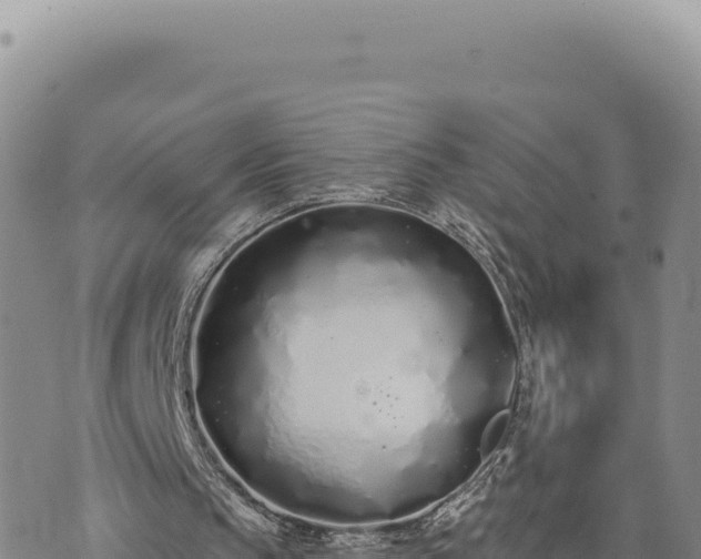 X0000073710145200608101847