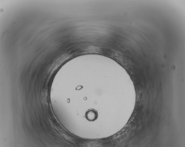 X0000073710146200608101847