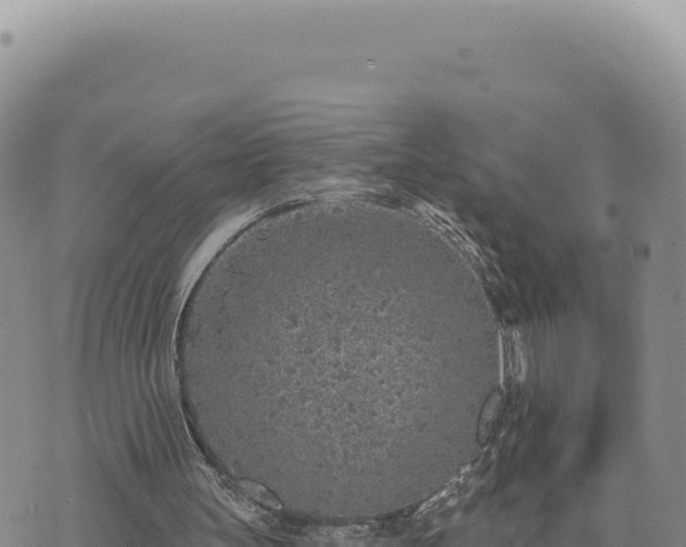 X0000073710147200608101847