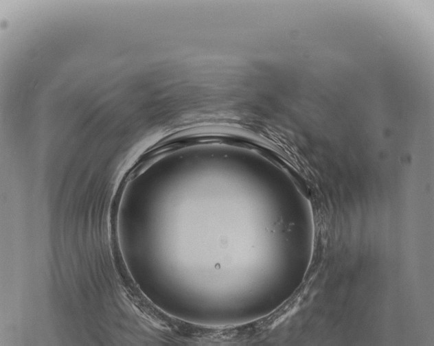 X0000073710148200608101847