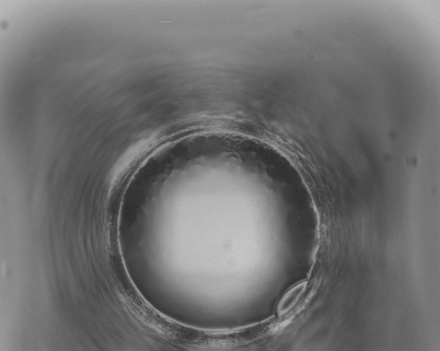 X0000073710149200608101847