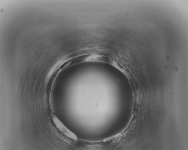 X0000073710150200608101847