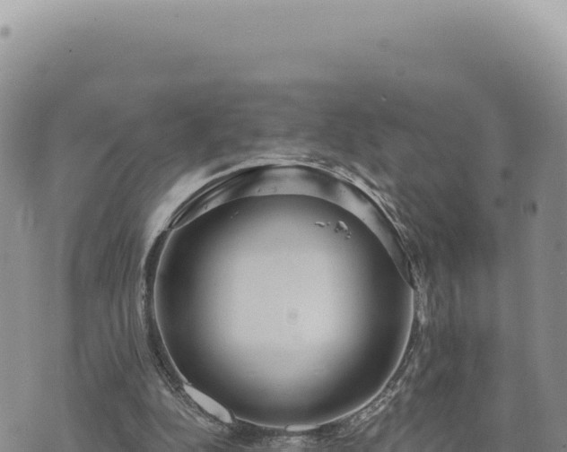 X0000073710152200608101847