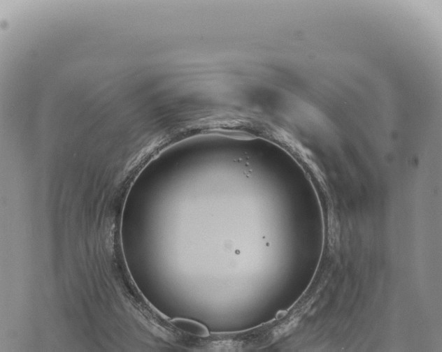 X0000073710153200608101847