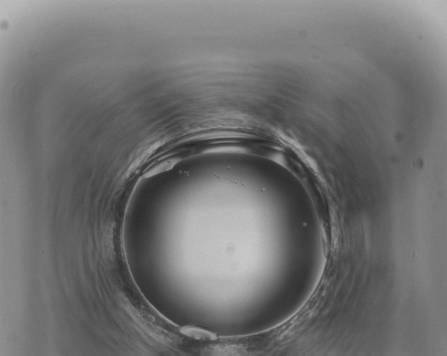 X0000073710154200608101847