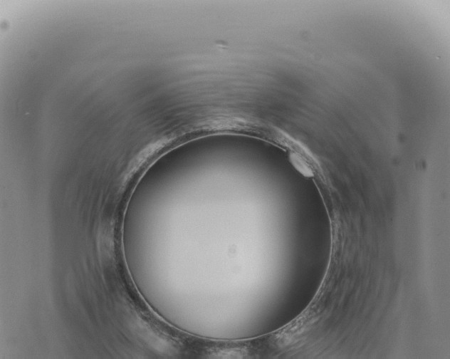 X0000073710155200608101847