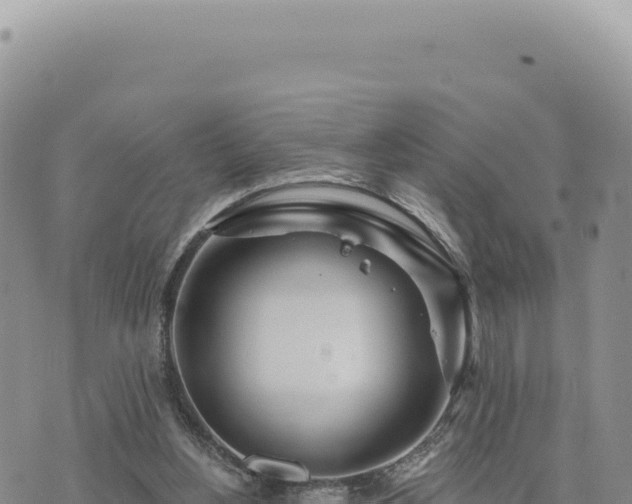 X0000073710156200608101847