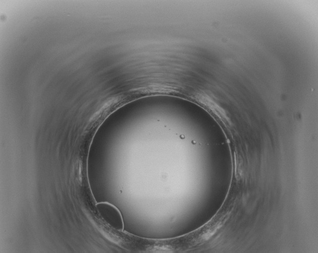 X0000073710157200608101847