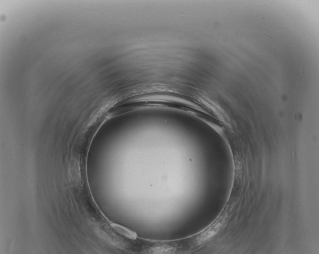 X0000073710158200608101847