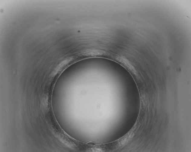 X0000073710159200608101848