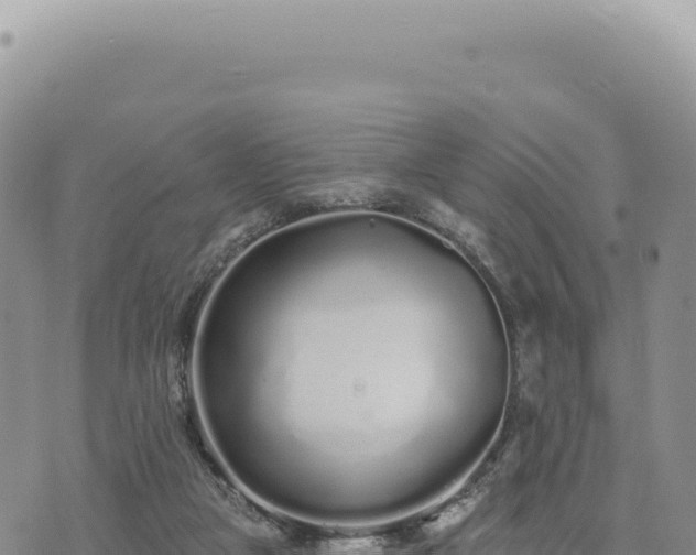 X0000073710161200608101848