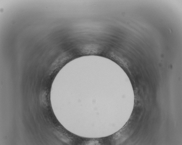 X0000073710162200608101848