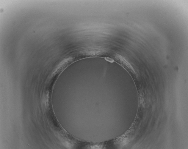 X0000073710163200608101848