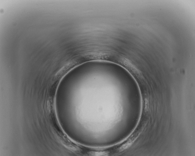 X0000073710165200608101848